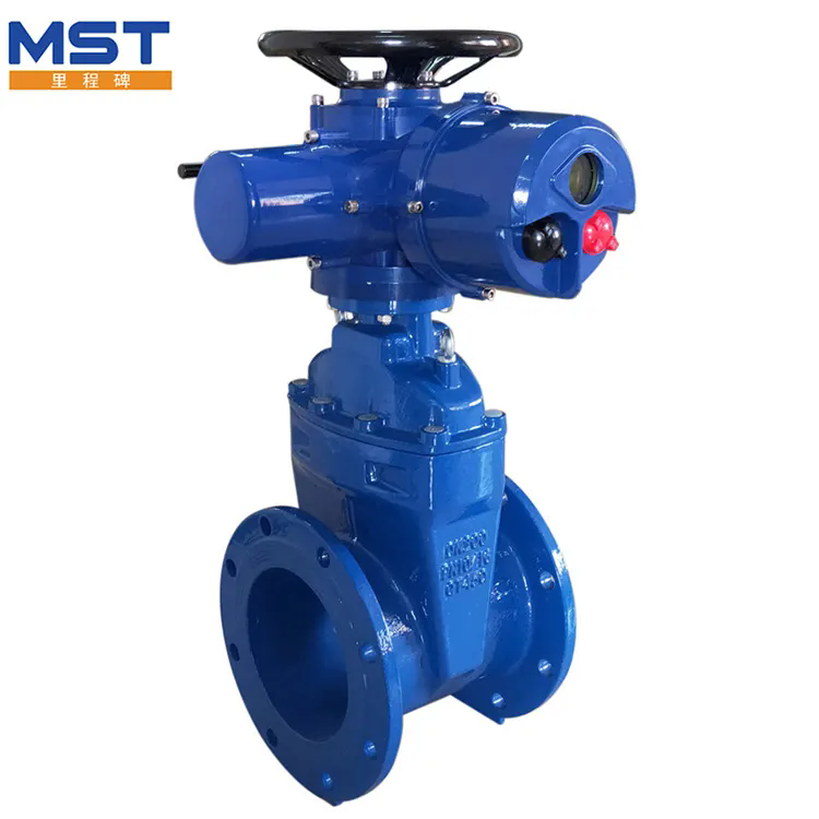 Quelles sont les caractéristiques de Globe Valve?